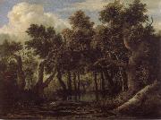 Jacob van Ruisdael Marsh in a Forest Sweden oil painting artist